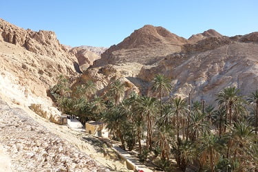 シェビカのオアシス1