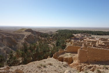 シェビカのオアシス2