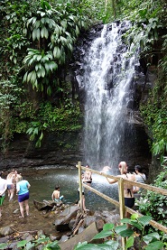 bamboo falls滝