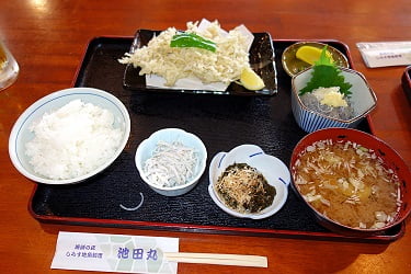 漁師の店「池田丸」のしらす定食