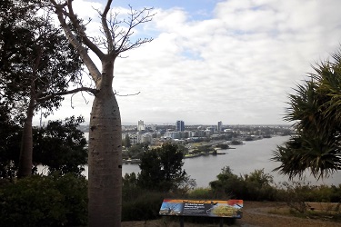 キングスパークからの眺め＆バオバブの木