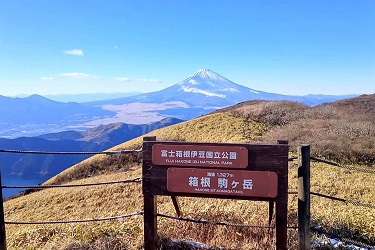 箱根駒ケ岳山頂より富士山を望む