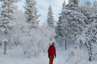 ウルホ･ケッコネン国立公園､雪の中をハイキング